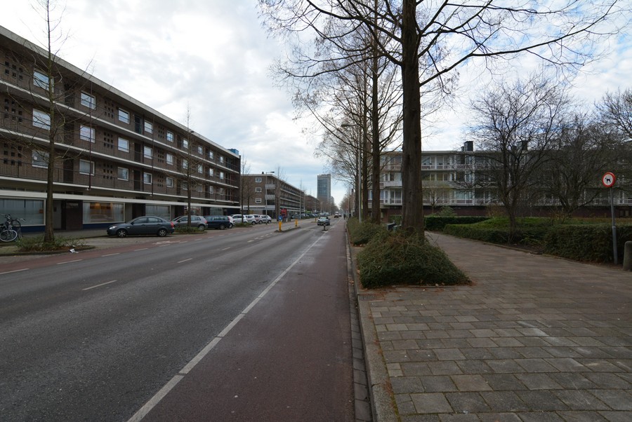 Arent Janszoon Ernststraat vanaf Europaboulevard-2