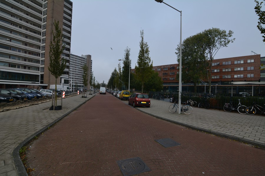 Burgemeester Hogguerstraat