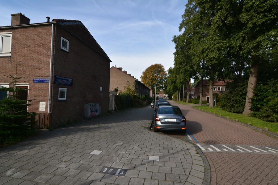 Prof Oranjestraat vanaf Harry Koningsbergerstraat-2