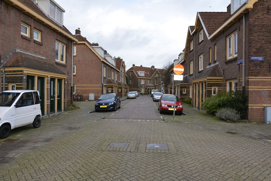 Sleutelbloemstraat vanaf Silenestraat