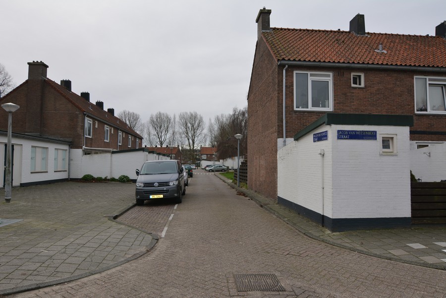Willem van Hembyzestraat