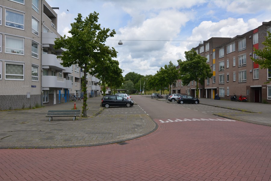 Alfred Doblinstraat