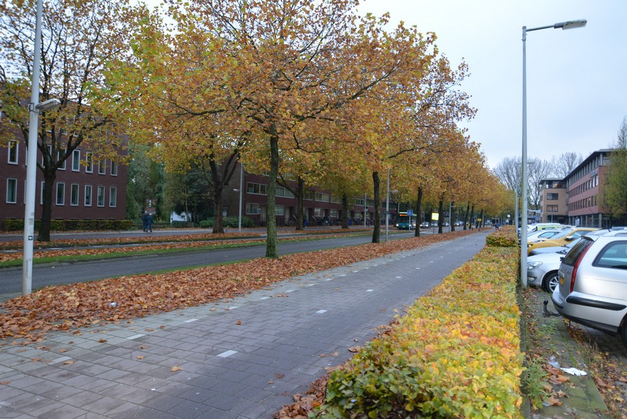 Amstelveenseweg vanaf Kotterpad-2