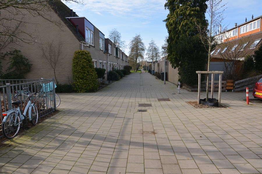 Cornelis Aarnoutsstraat