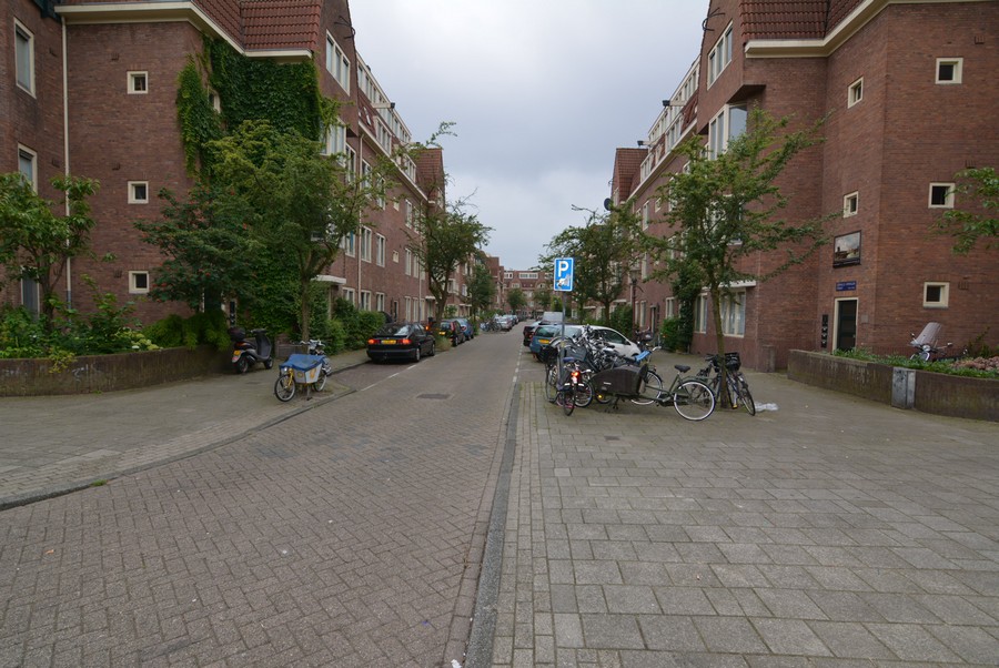 Cornelis Springerstraat