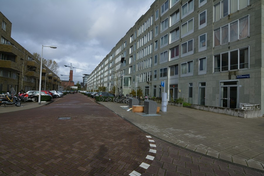 De Leeuw van Vlaanderenstraat