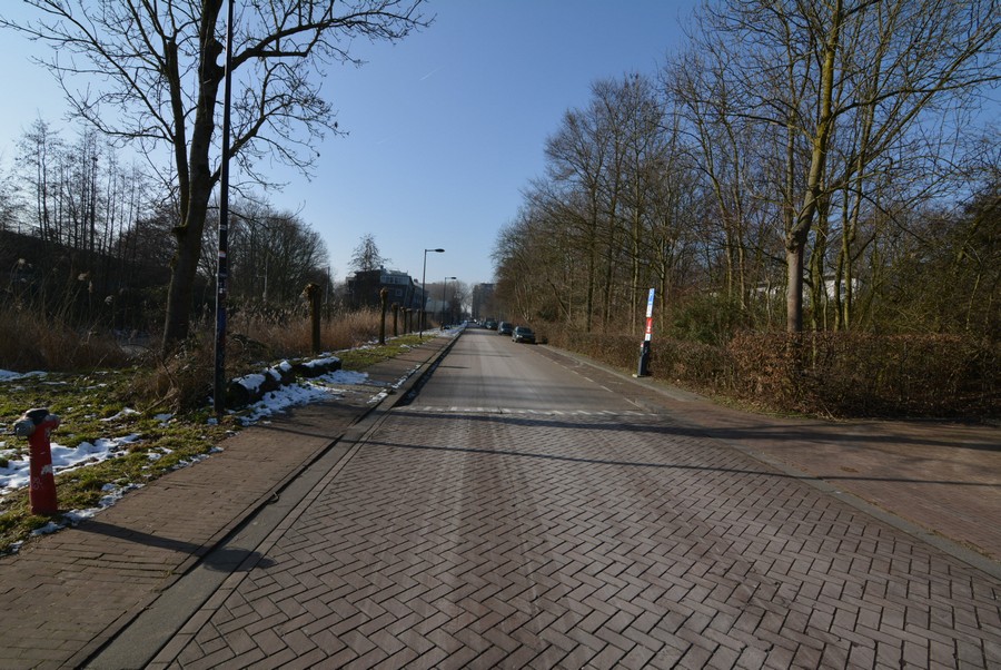 Flevoparkweg