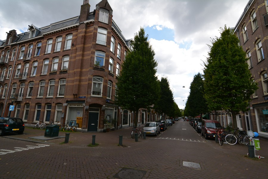 Groen van Prinsterenstraat vanaf Bentinckstraat-2