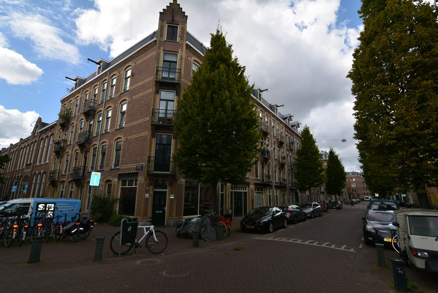 Groen van Prinsterenstraat vanaf Cliffordstraat-1