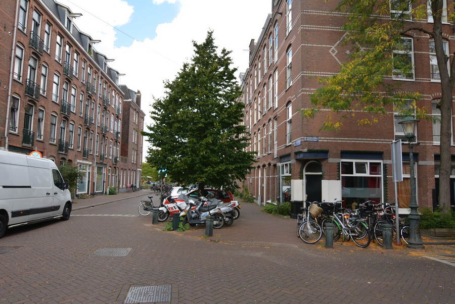 Groen van Prinsterenstraat vanaf Joan Melchior Kemperstraat-1