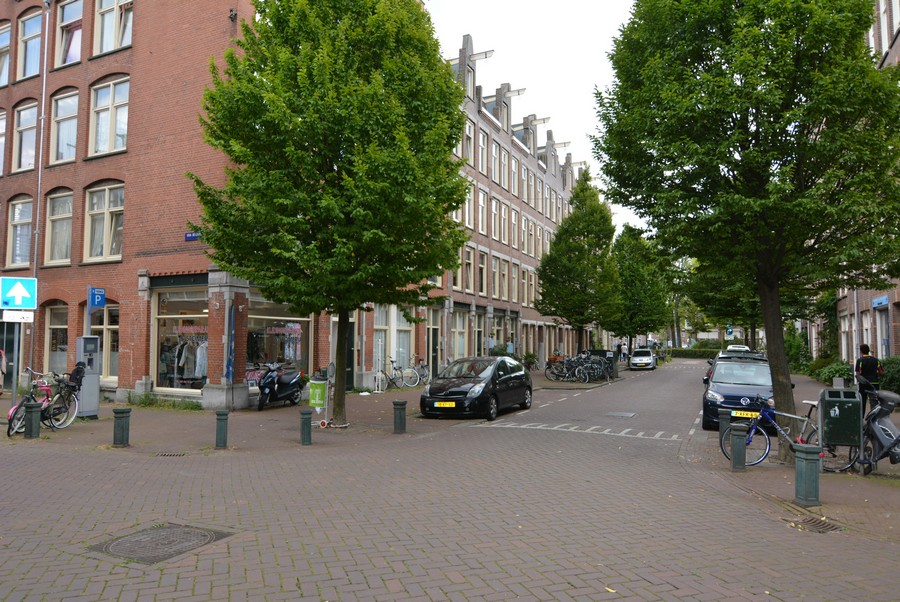 Groen van Prinsterenstraat vanaf van Beuningenstraat-1