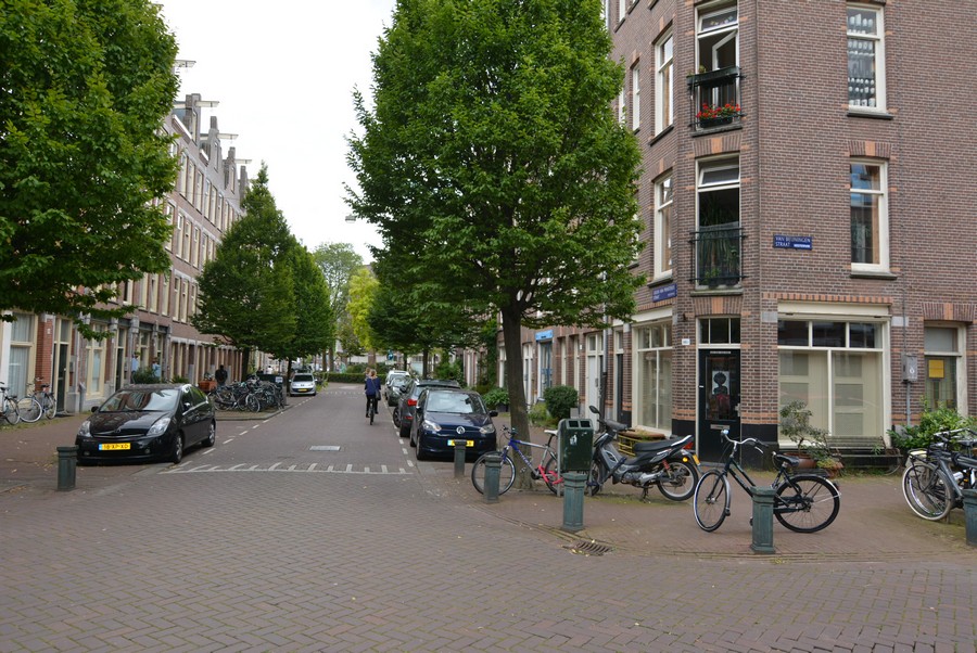 Groen van Prinsterenstraat vanaf van Beuningenstraat-2