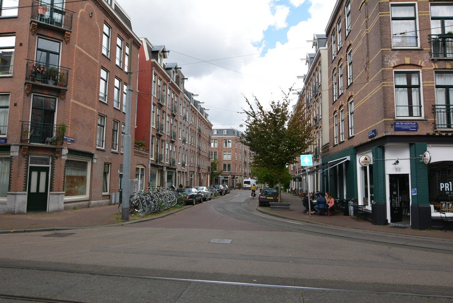 Groen van Prinsterenstraat vanaf van der Hoopstraat-2