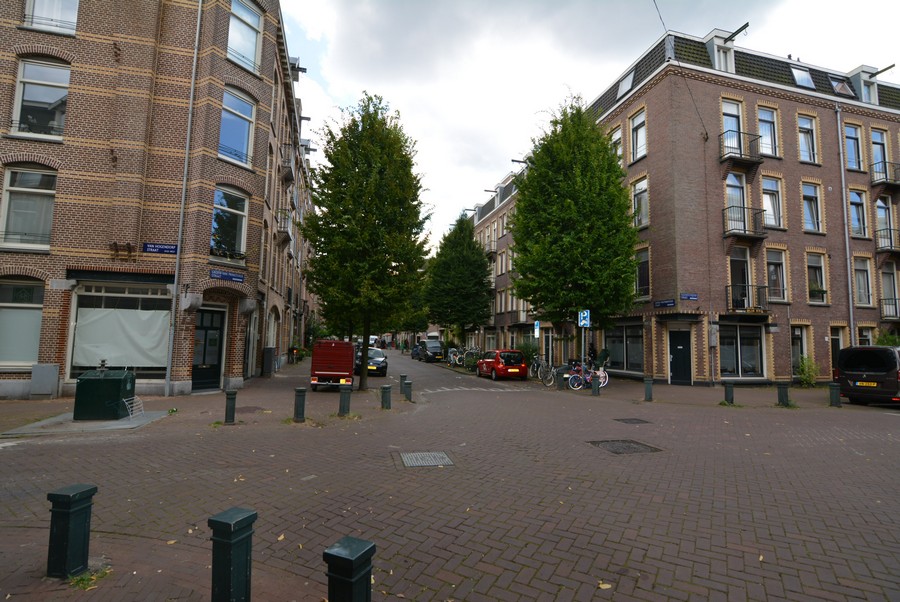 Groen van Prinsterenstraat vanaf van Hogendorpstraat-1