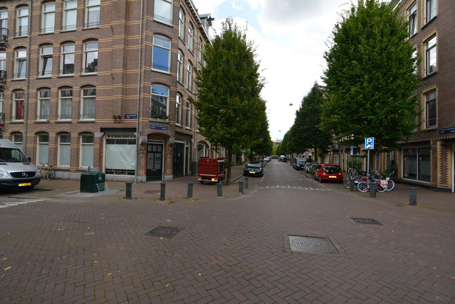 Groen van Prinsterenstraat vanaf van Hogendorpstraat-2