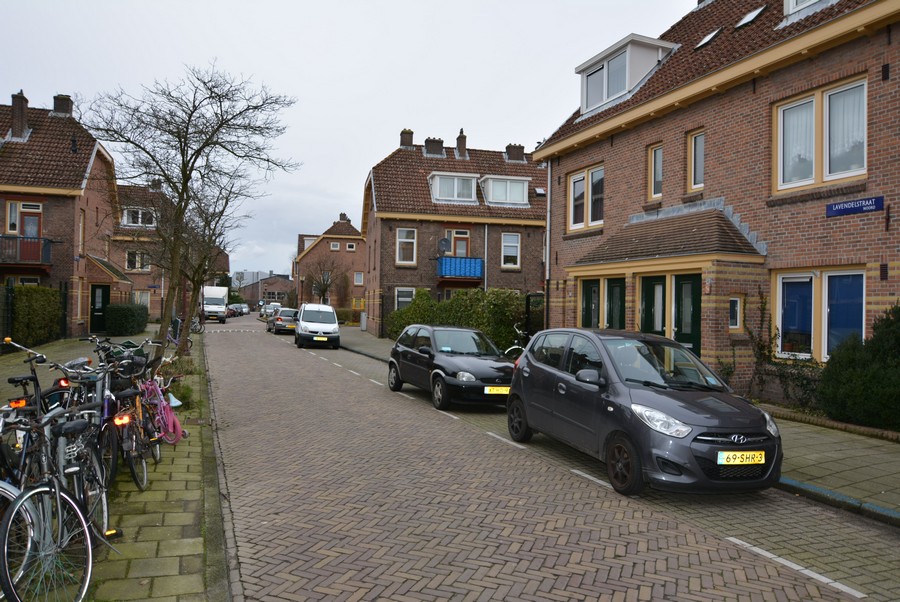 Lavendelstraat vanaf Lupineplein-1