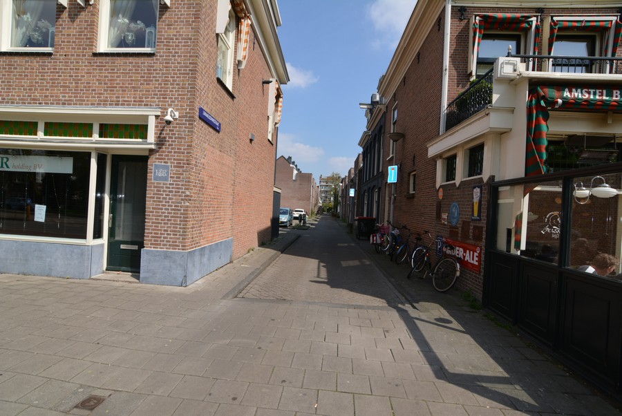 Linnaeusdwarsstraat vanaf Middenweg