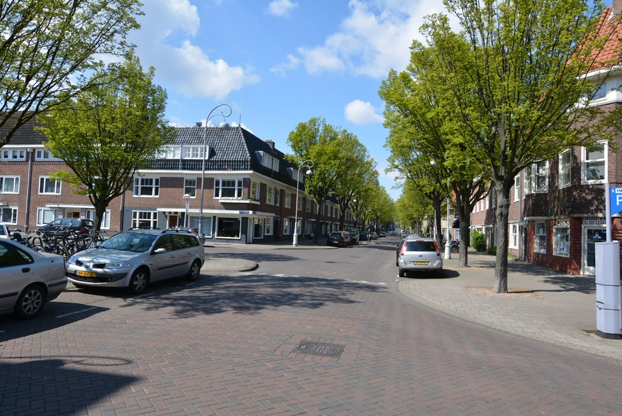 Linnaeusparkweg vanaf Johannes van der Waalstraat-1