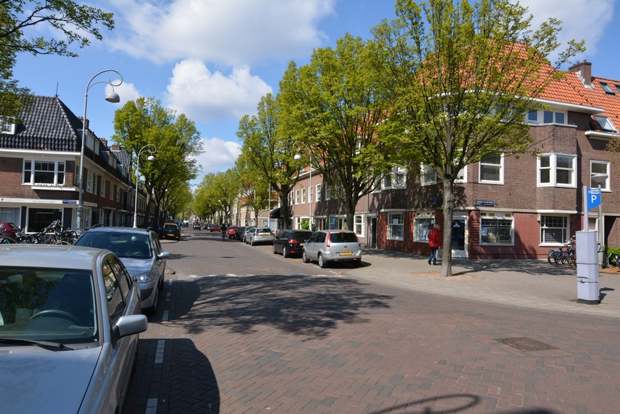 Linnaeusparkweg vanaf Johannes van der Waalstraat-2