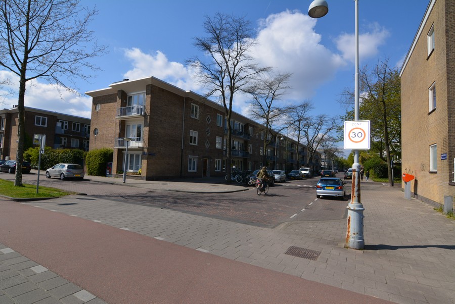 Linnaeusparkweg vanaf Kruislaan-1