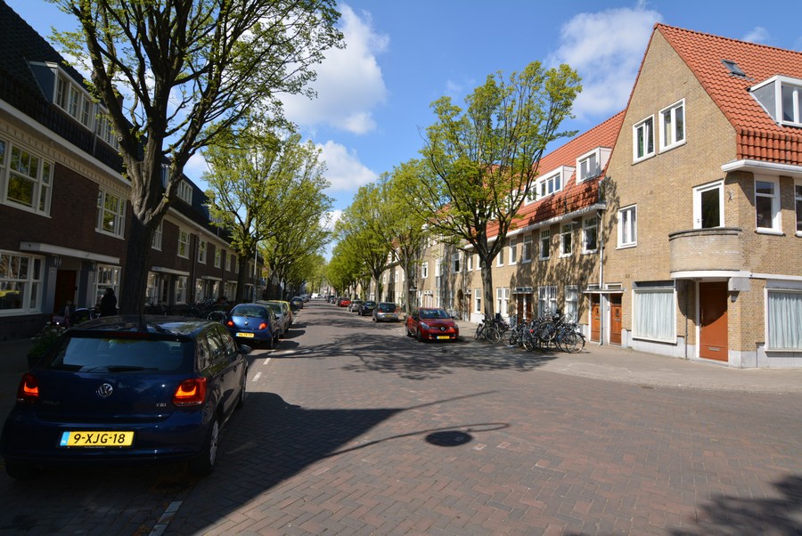 Linnaeusparkweg vanaf Mariottestraat-1