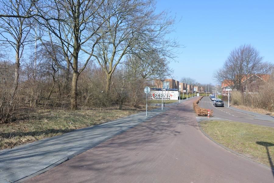 Marjoleinstraat vanaf Floraweg-1