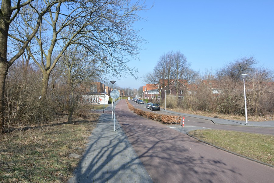 Marjoleinstraat vanaf Floraweg-2