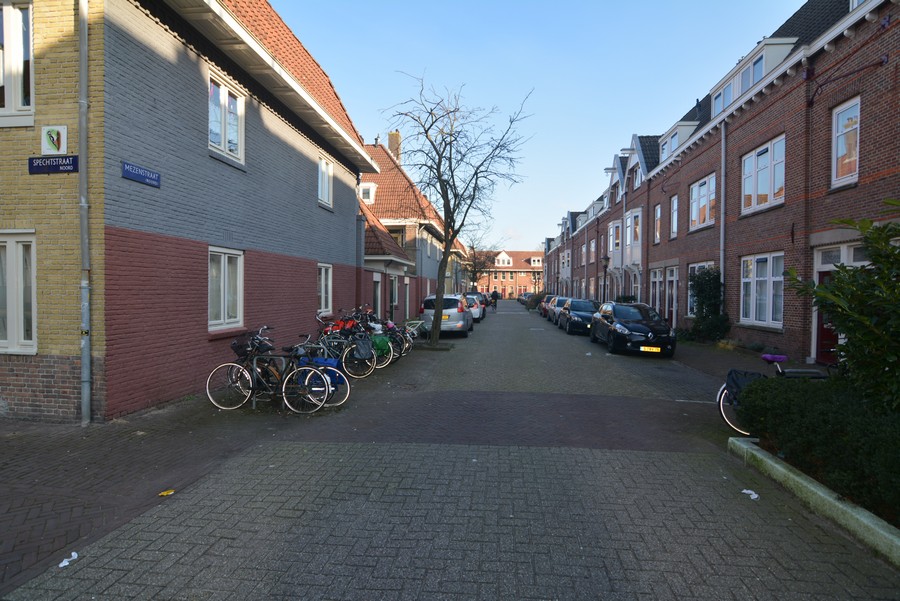 Mezenstraat vanaf Spechtstraat