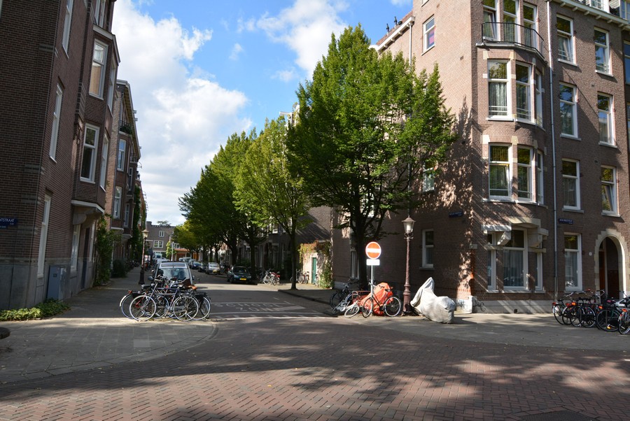 Nicolaas Maesstraat v.a. Jacob Obrechtstraat-1