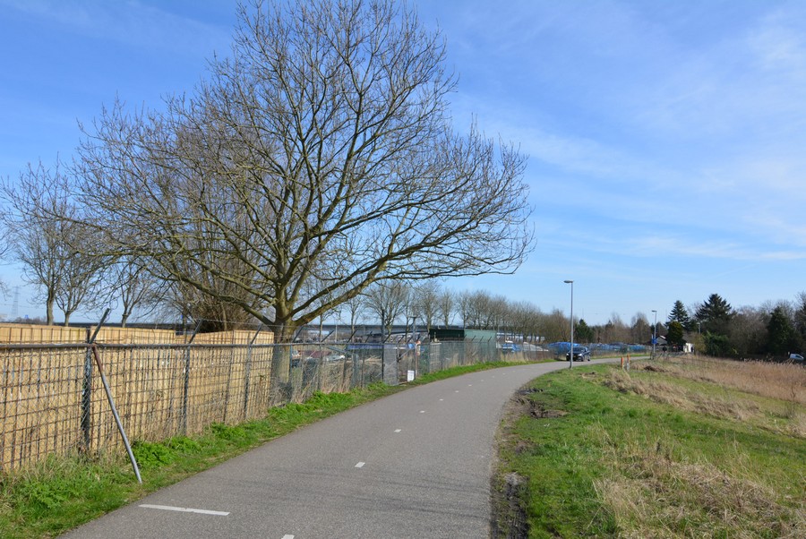 Ooster Ringdijk