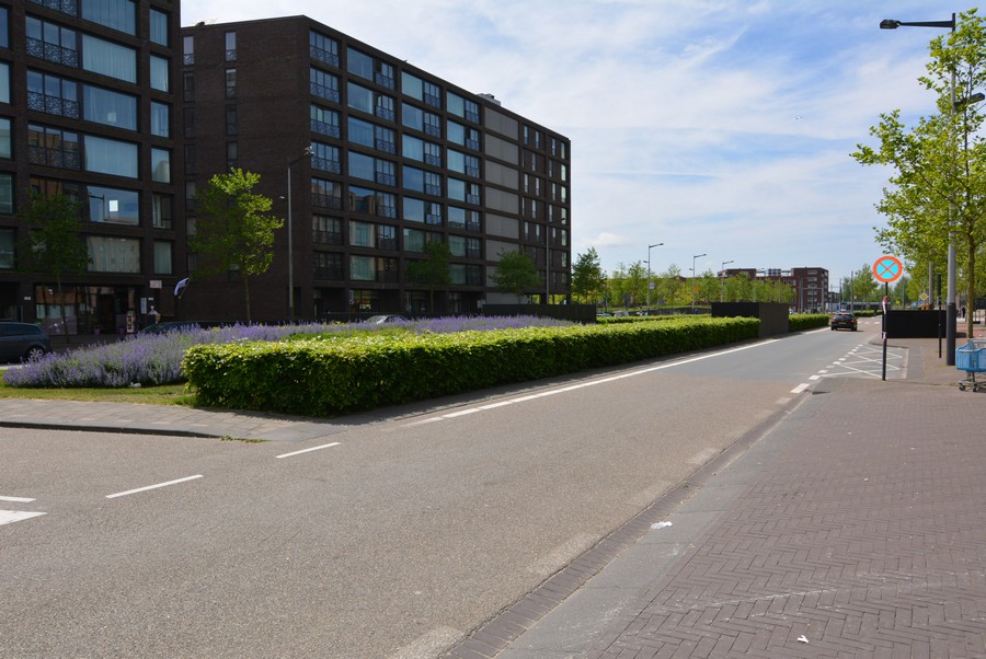 Pampuslaan vanaf Pieter Oosterhuisstraat-2