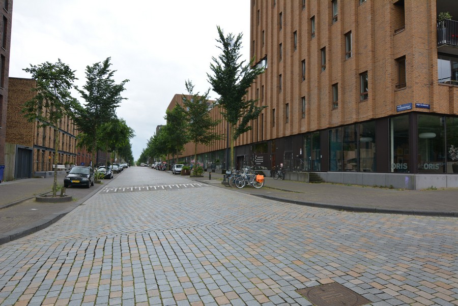 Pieter Oosterhuisstraat vanaf Krijn Taconiskade-2