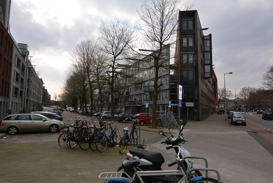Pieter Vlamingstraat vanaf Pontanusstraat-1