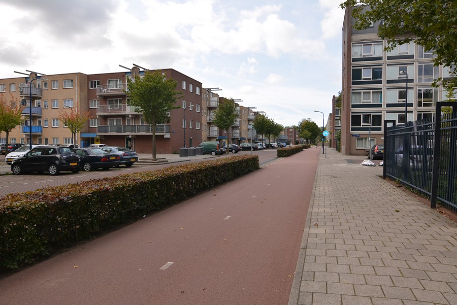 Roosje Vosstraat vanaf Hertingenstraat