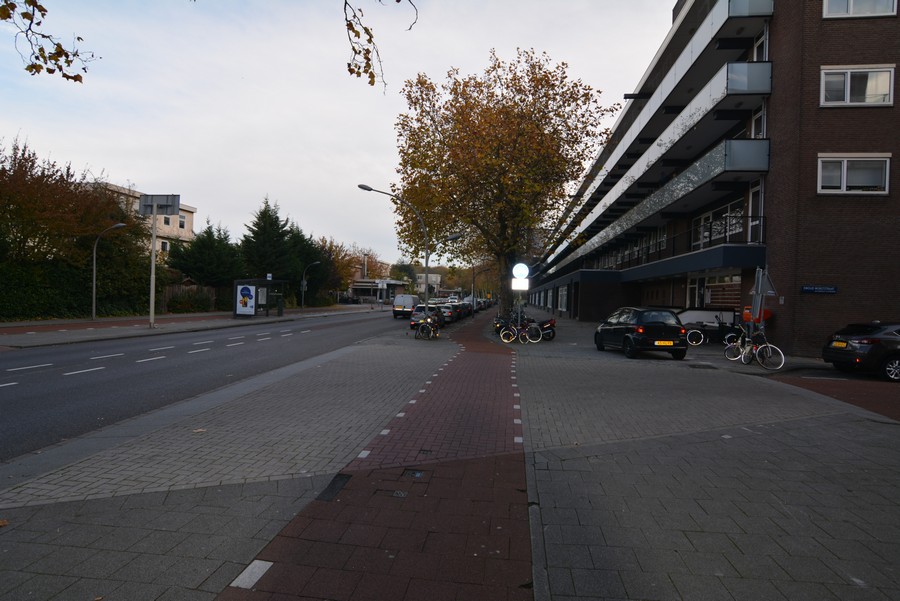 Ruys de Beerenbroeckstraat vanaf Ewoud Worststraat