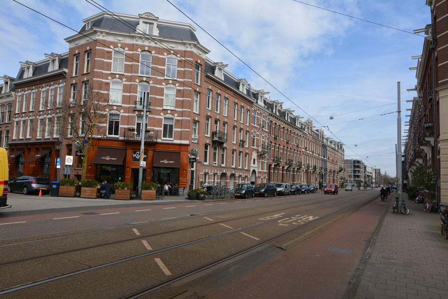 Ruyschstraat vanaf Swammerdamstraat-1