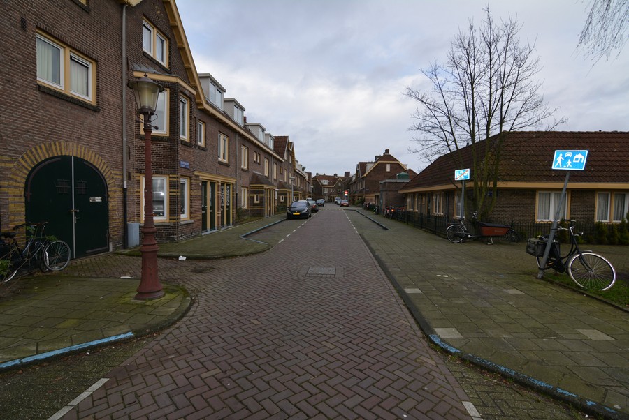 Sleutelbloemstraat vanaf Jac. P. Thijsseplein