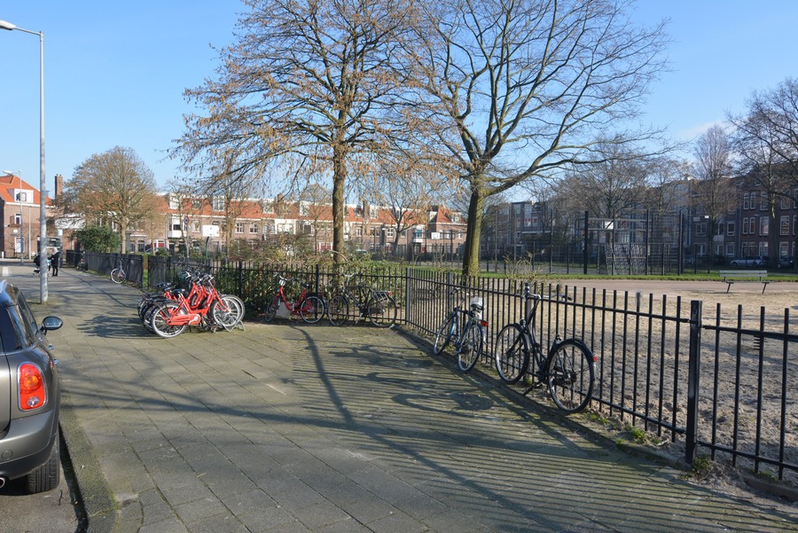 Spreeuwenpark vanaf Reigersweg-1