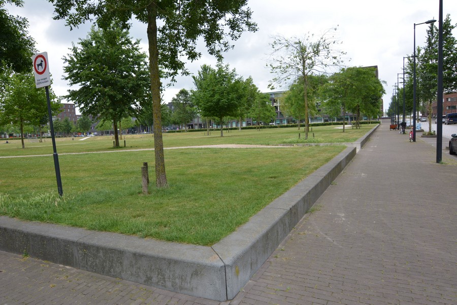 Theo van Goghpark-2