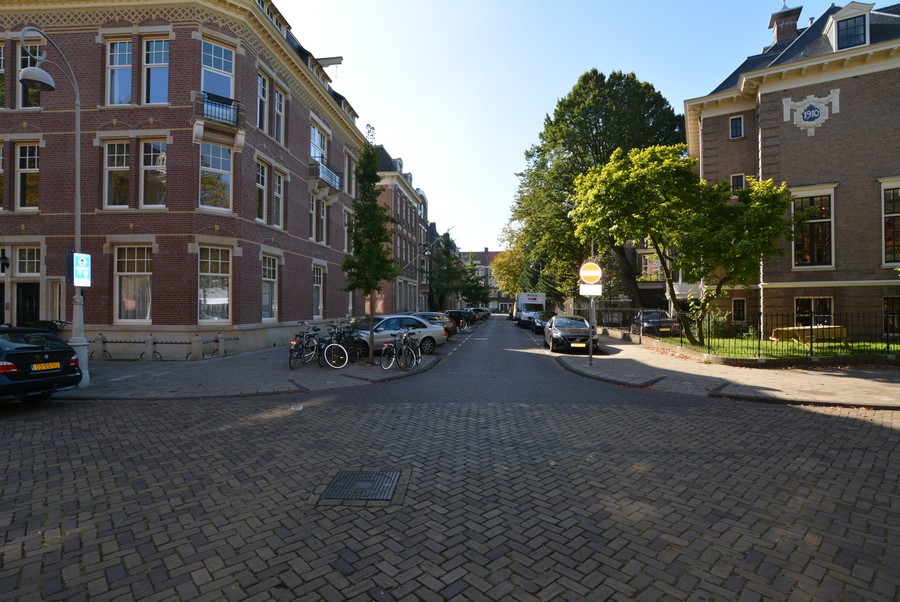 Van Miereveldstraat