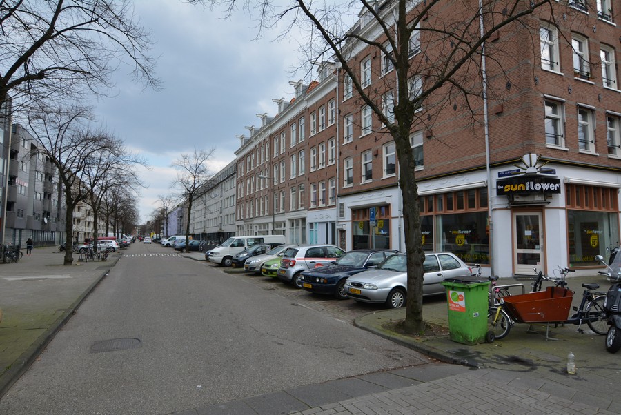 von Zesenstraat vanaf Linnaeusstraat-2
