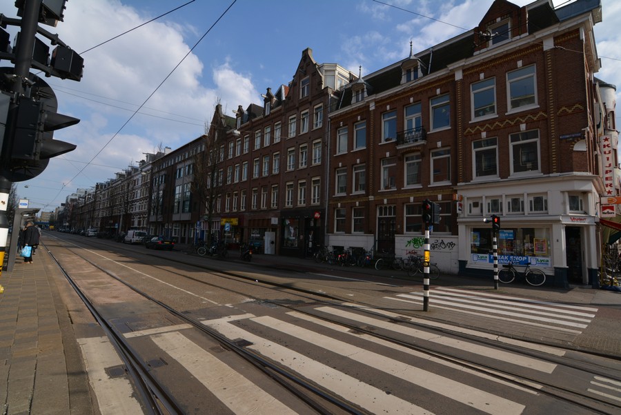Wijttenbachstraat vanaf Linnaeusstraat-2