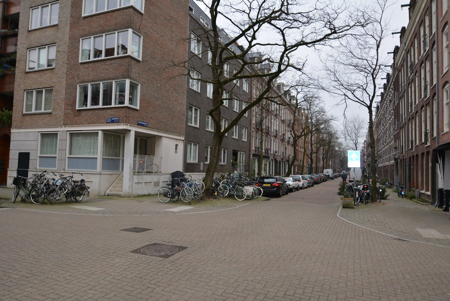 Wilhelminastraat vanaf Pieter Langendijkstraat-2