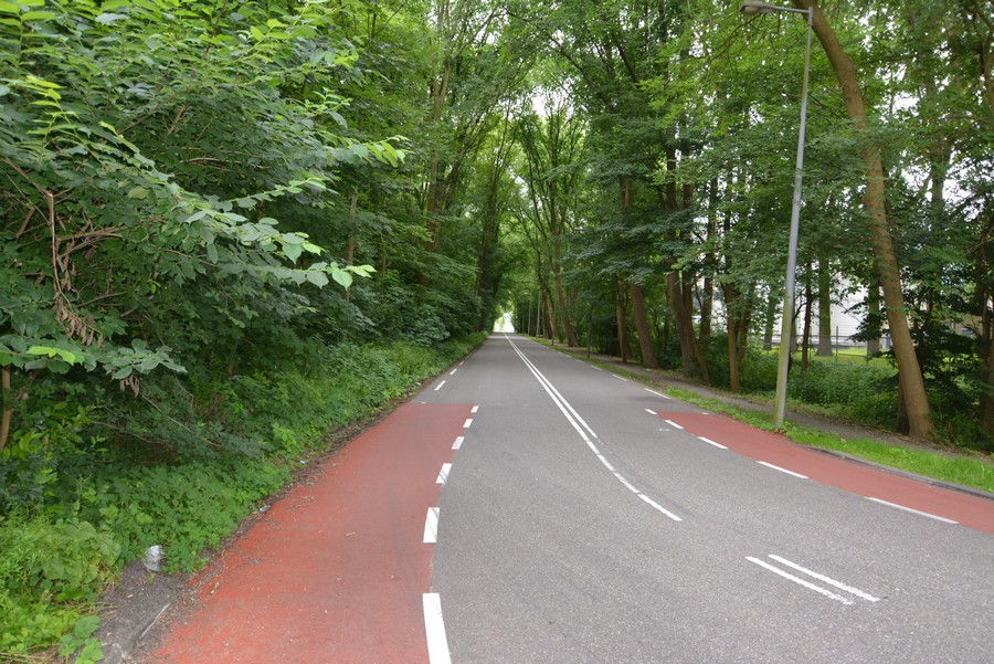 Zamenhofstraat-2