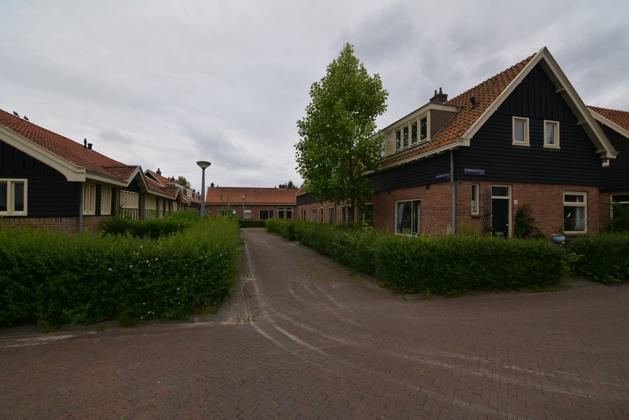 Zamenhofstraat vanaf Meeuwenlaan-2